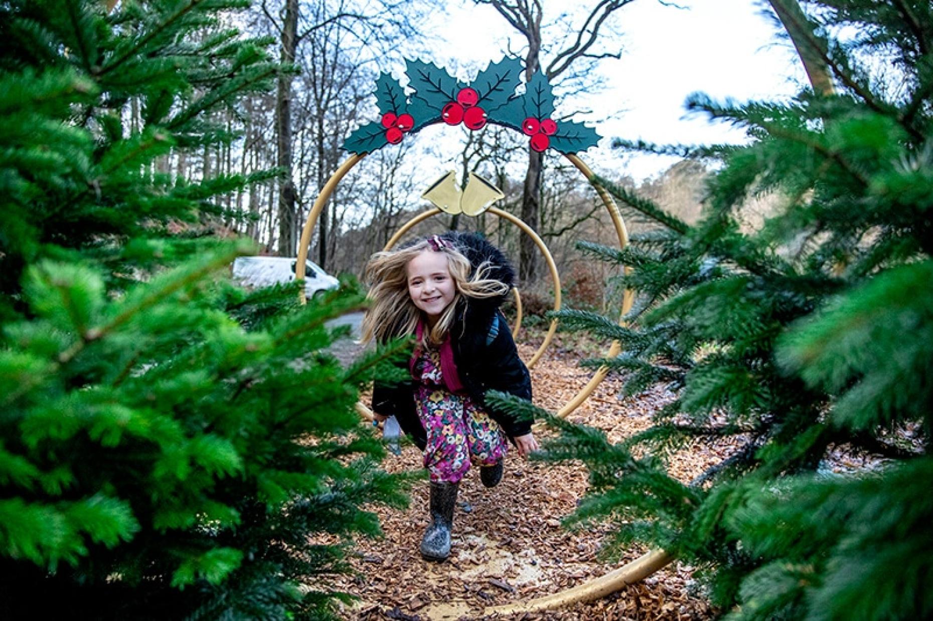 12 Days Of Christmas 2024 Bolton Abbey 883663