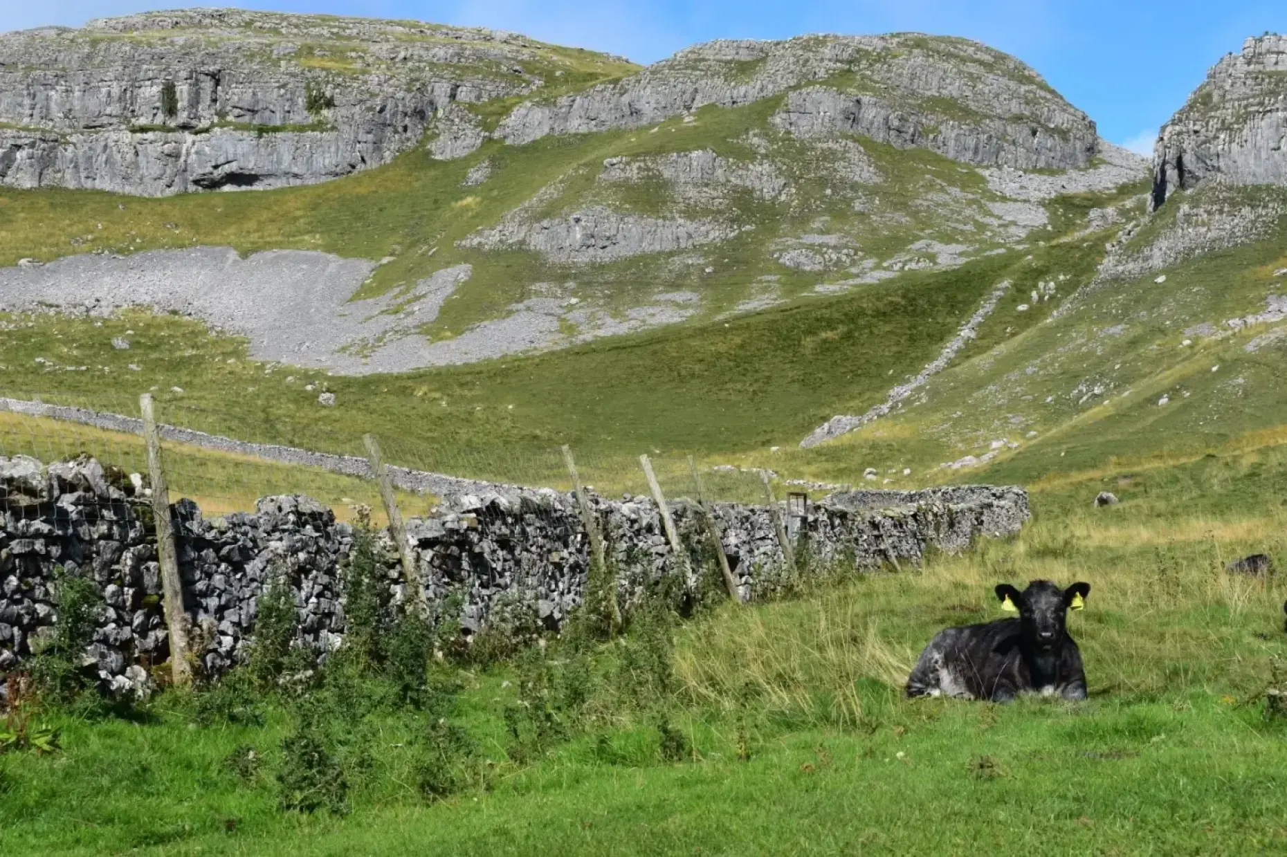 Attermire Scar 797461
