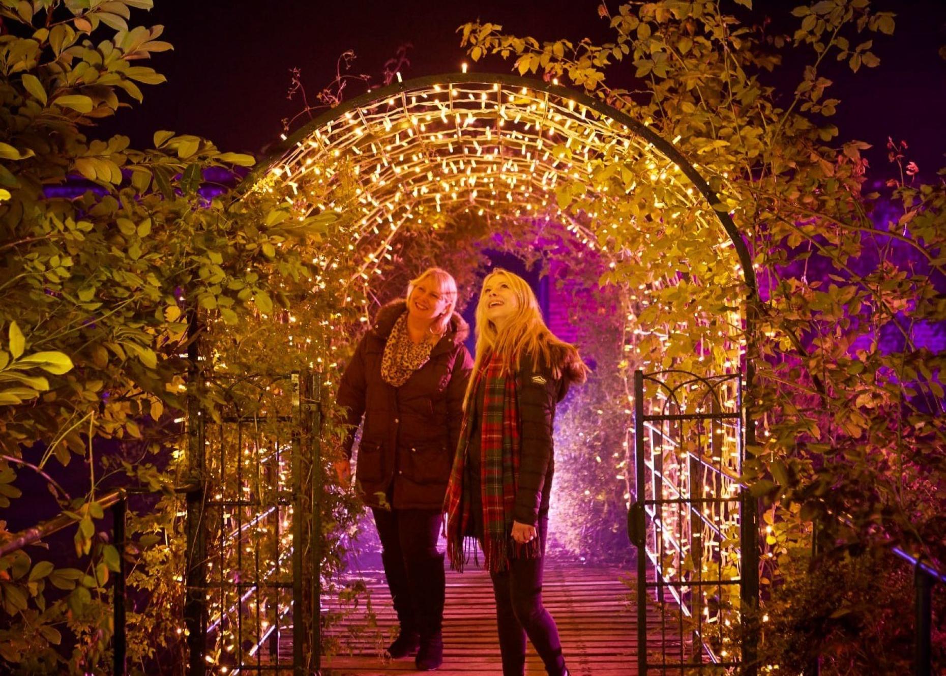 Audley End Glow 895357