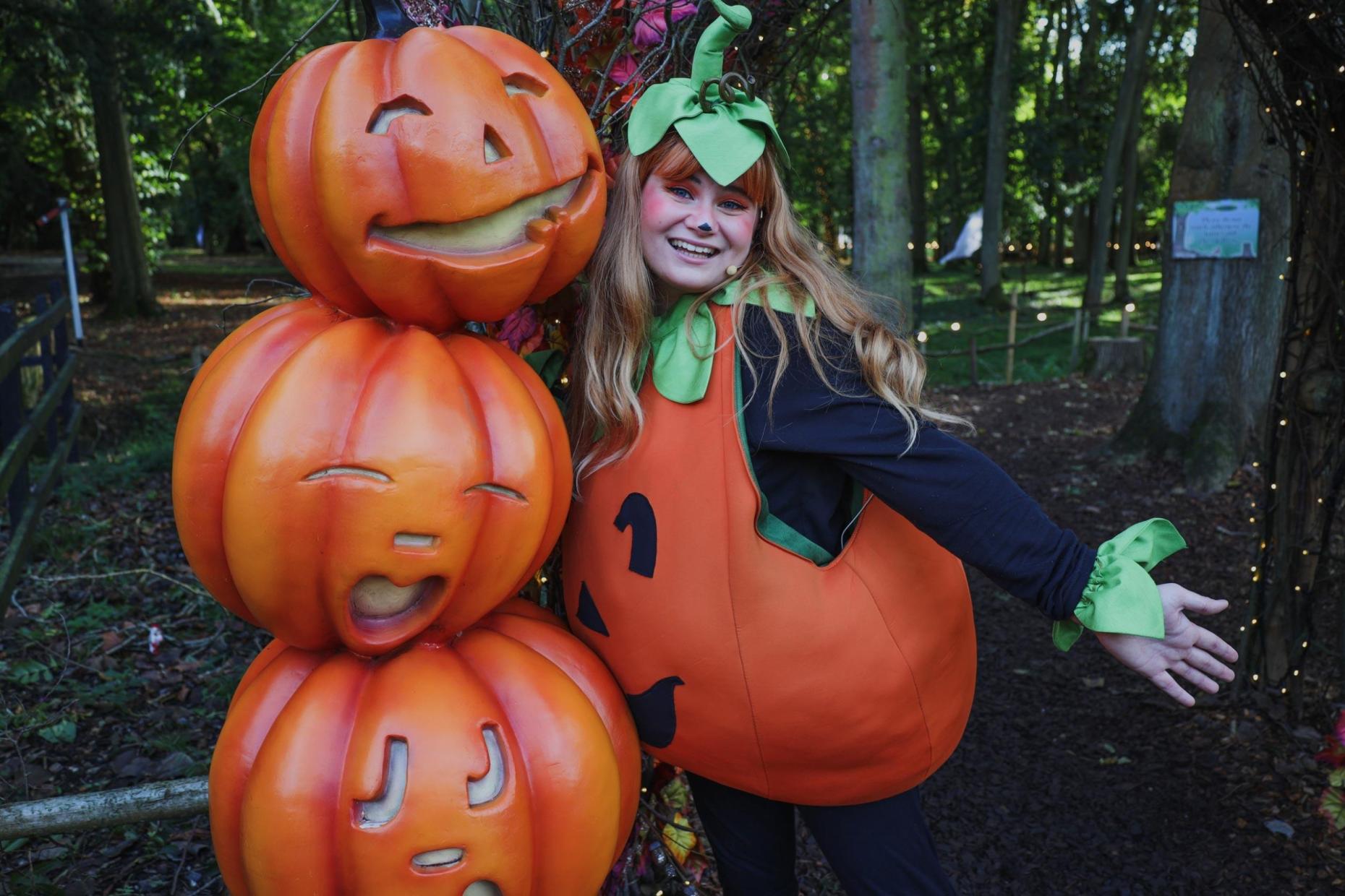 Audley End Halloween 877991