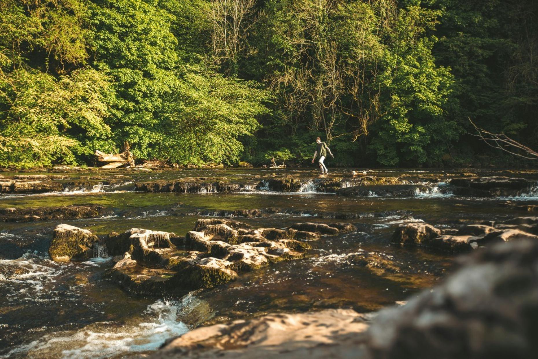 Aysgarth Zoe Jackson Low Res 1042730