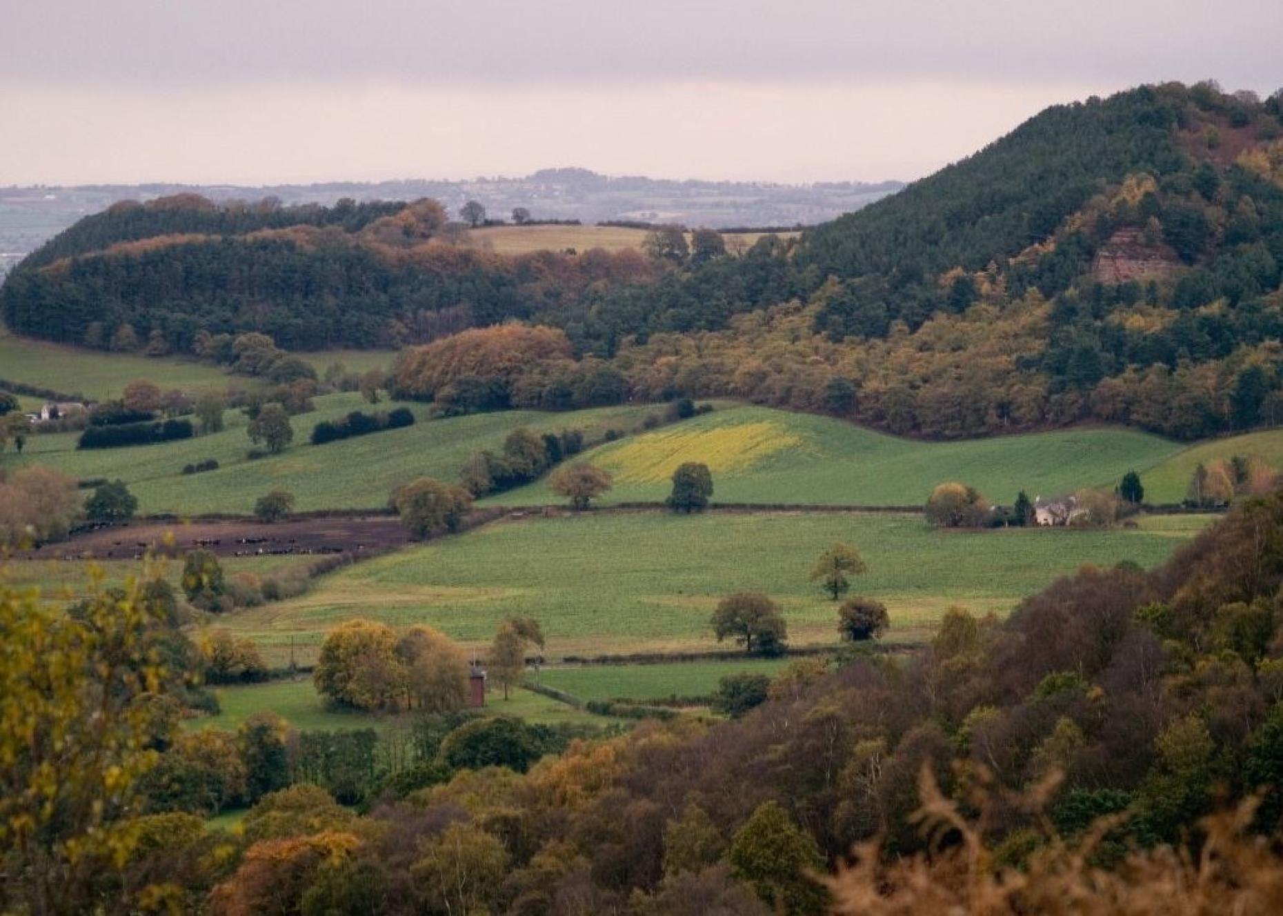 Bickerton Hill 889712
