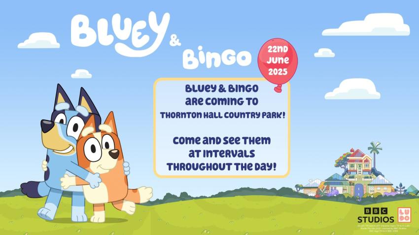 Bluey Bingo Thornton 1022129