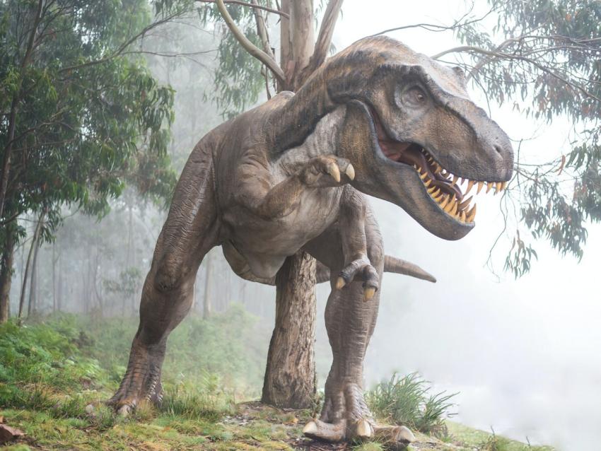 Bolesworth Dinosaur Jurassic Live Adventure 534346