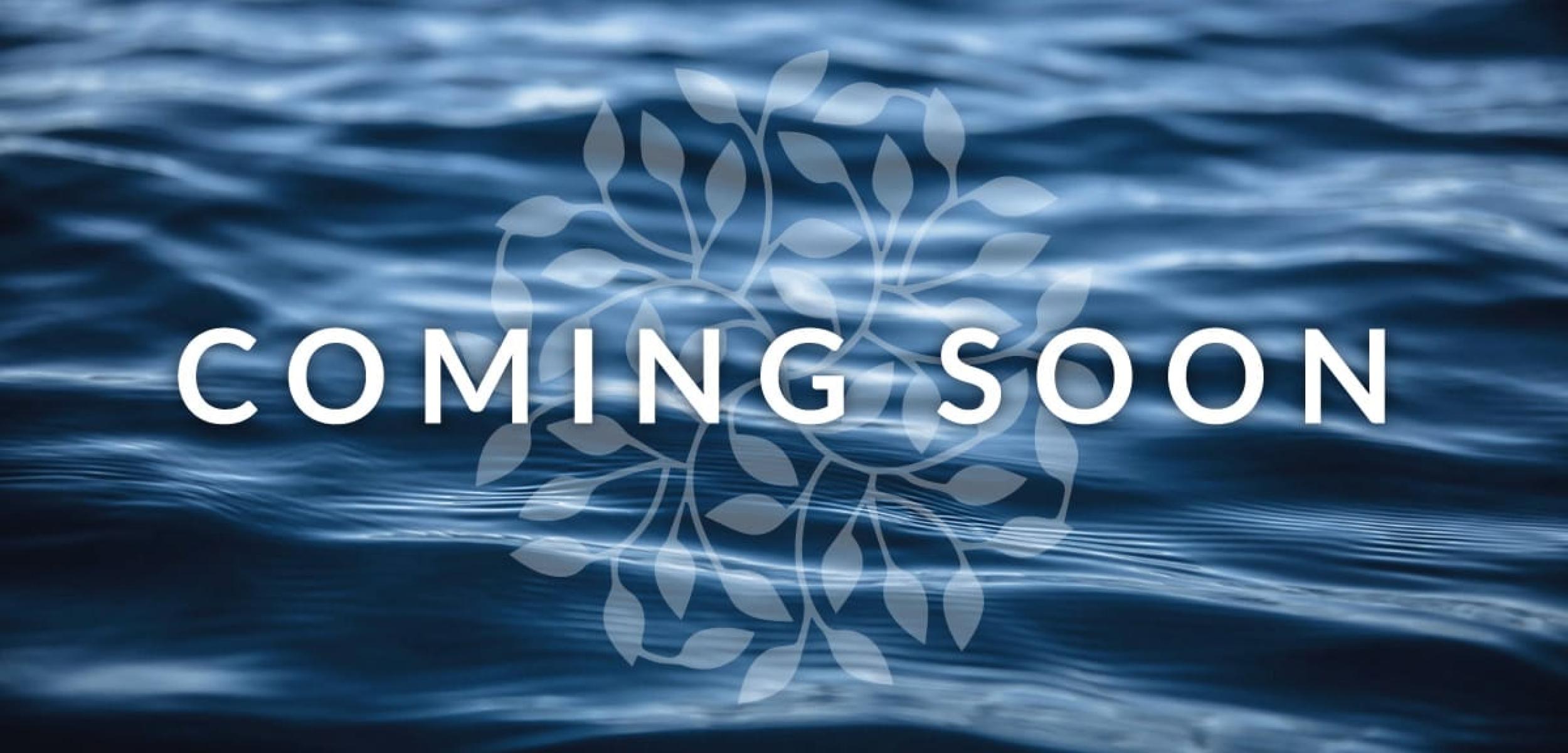 Bs Coming Soon Kingham 956259