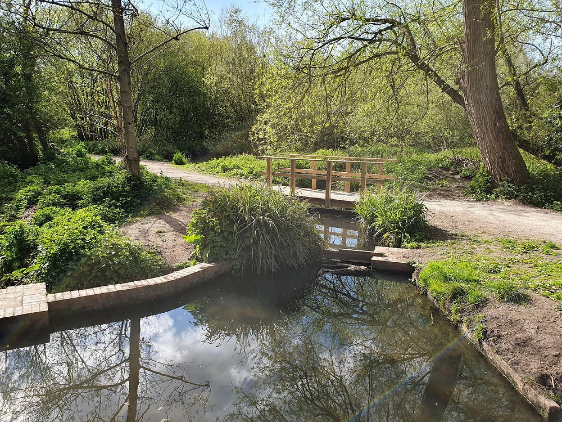 Caldy Nature Park 598996