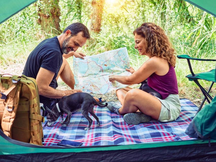 Camping 1 494185