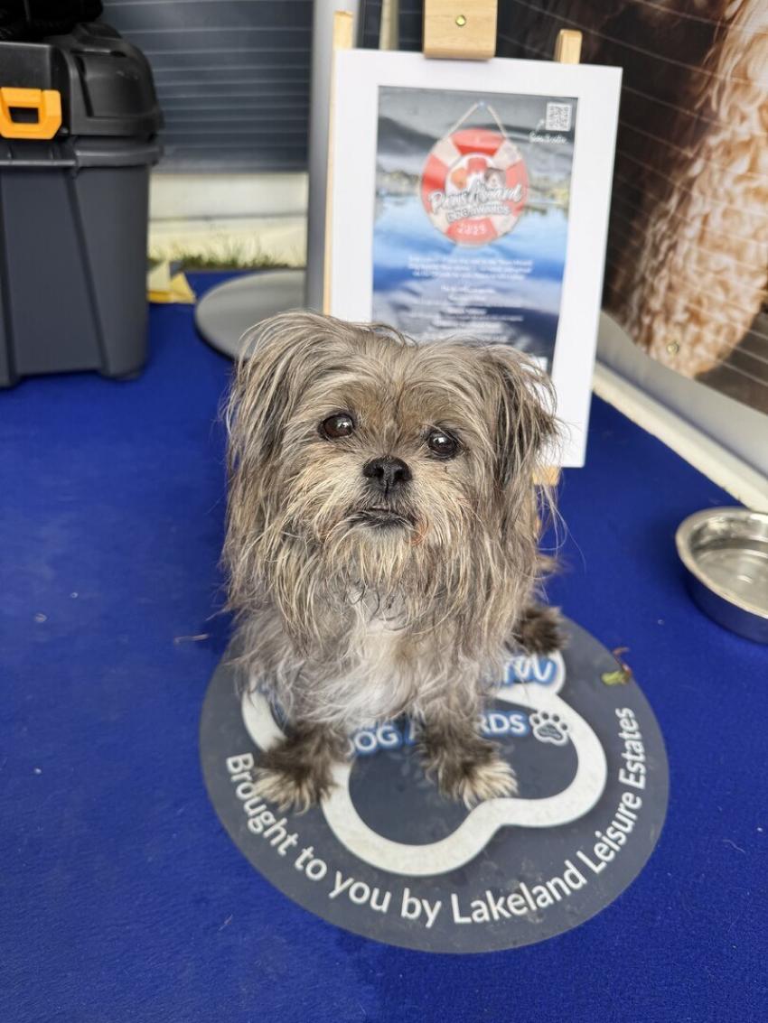 Charlie Narrowboat Travels With Charlie 1024627