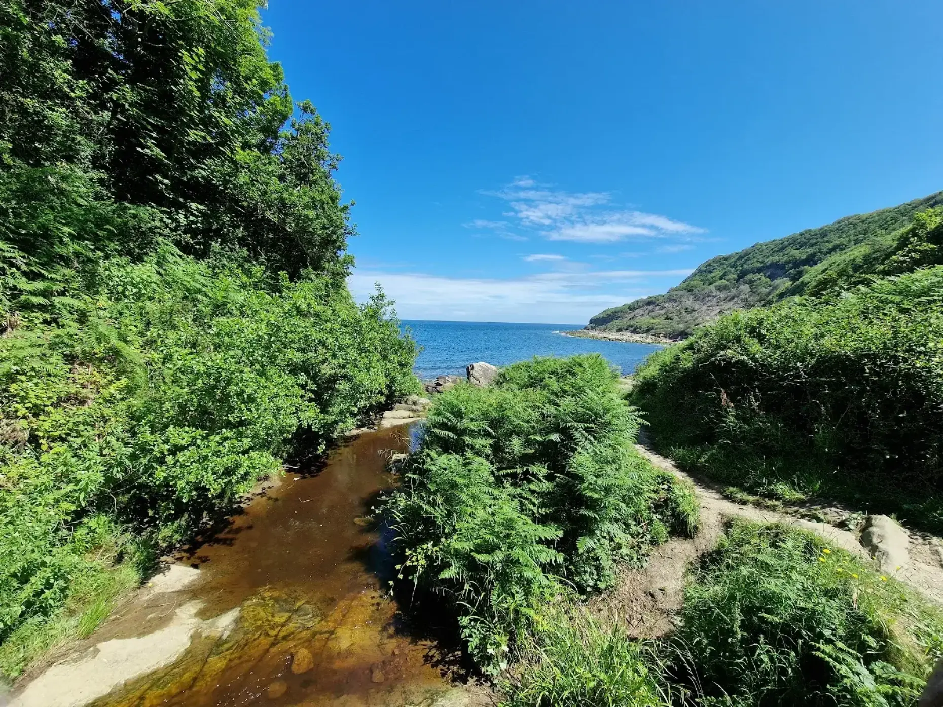 Cloughton Beach 1038507