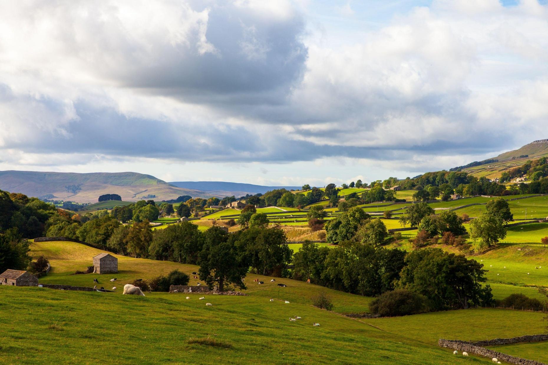 Darren Richardson Heetshwryxc Unsplash 188411