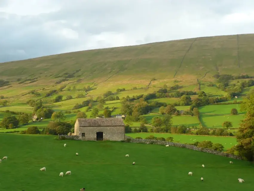 Dentdale Late Summer 928927