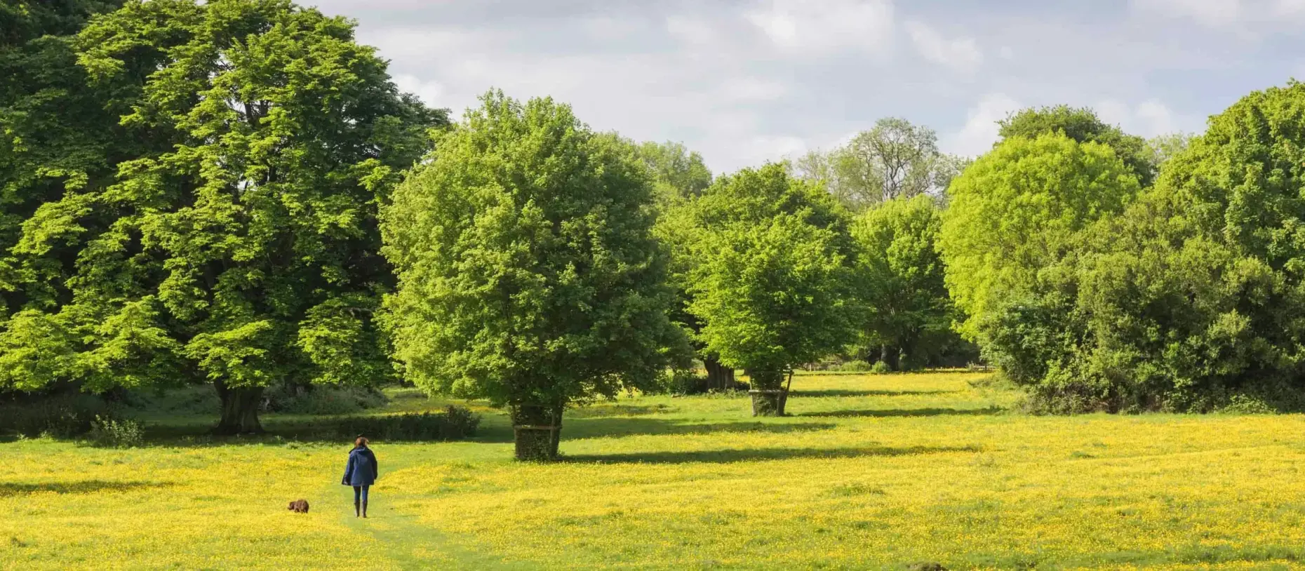 Dog Walking Hatfield Forest Essex 1353422 389083