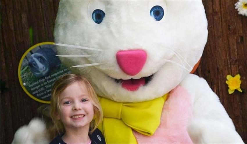 Easter 391526