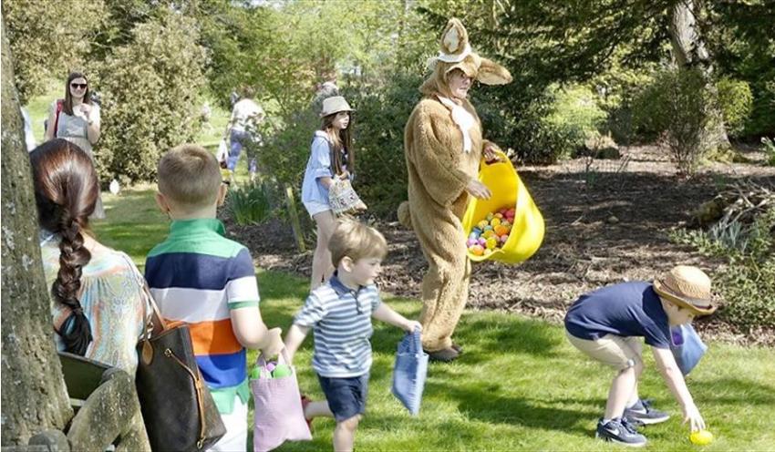 Easter Egg Hunt 3 391527