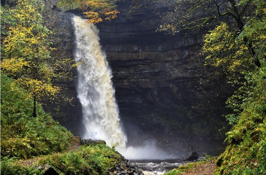 Hardraw Force 637542
