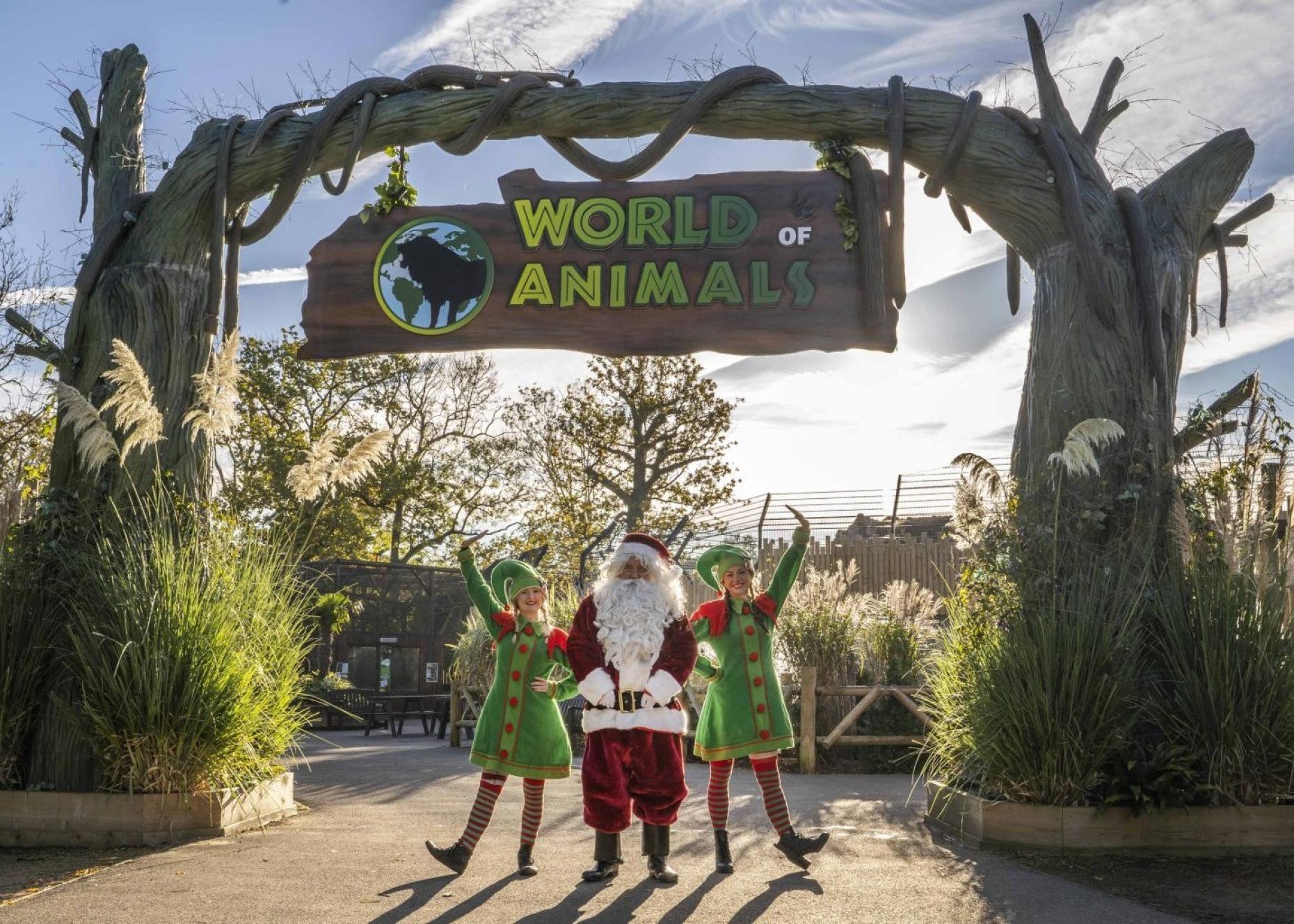 Hertfordshire Zoo Christmas 891290