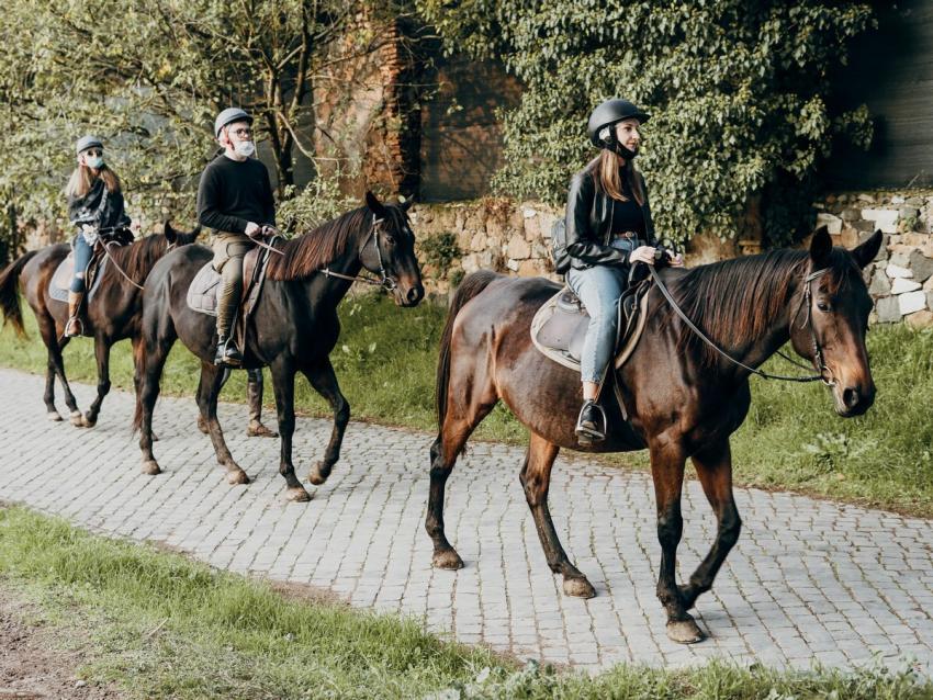Horse Riding 515329