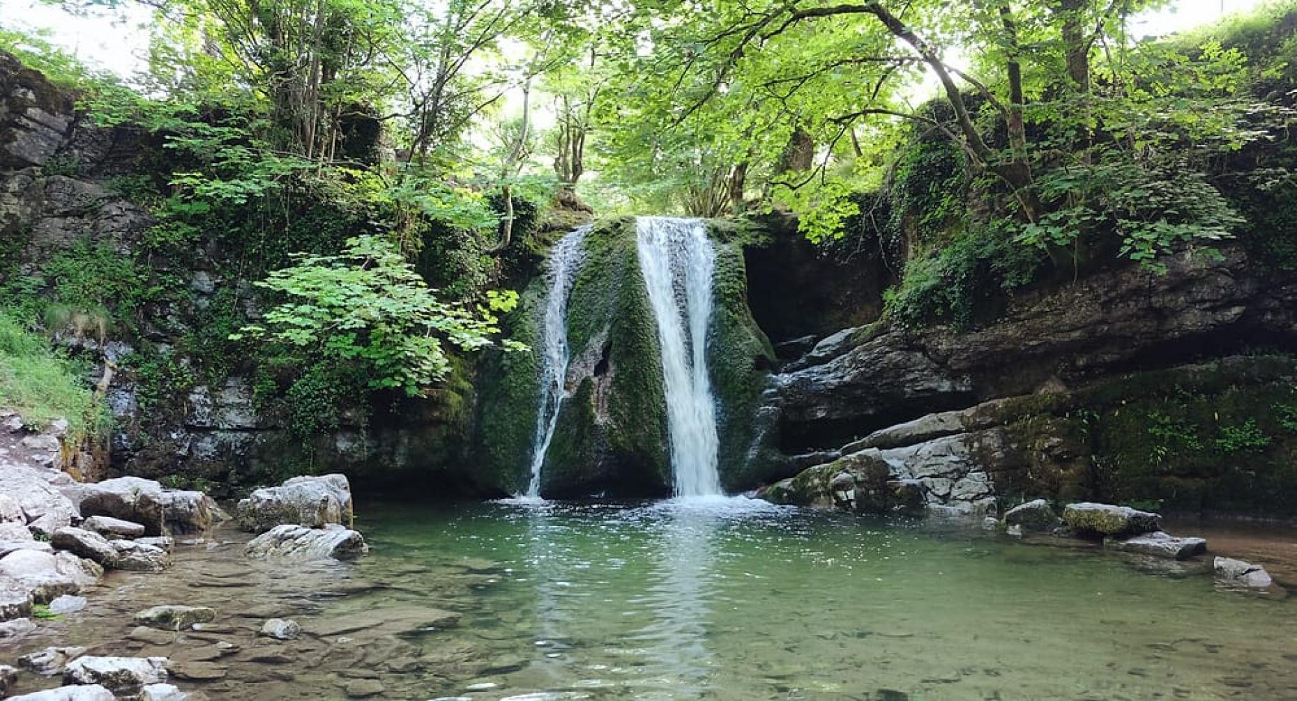 Janets Foss 1038267