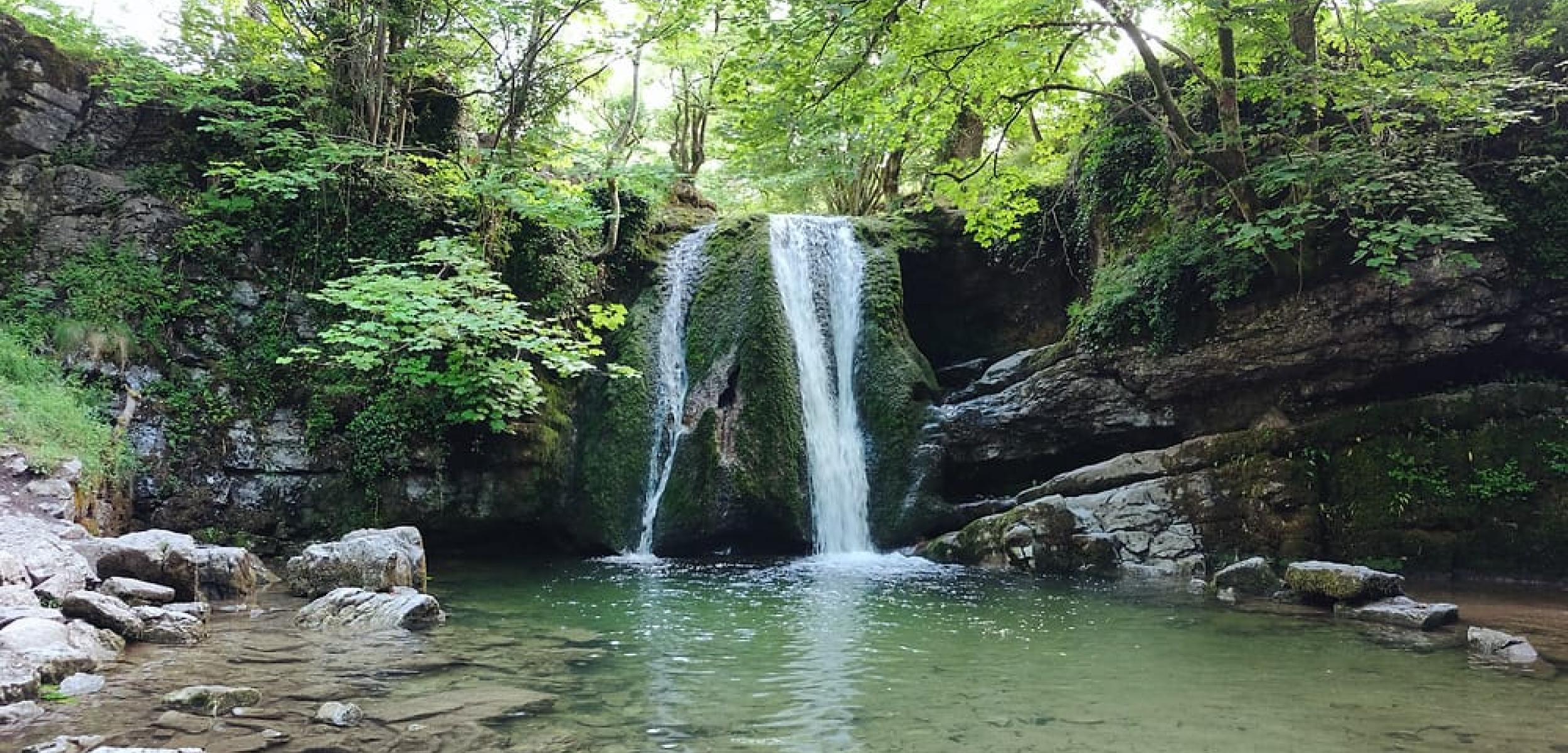 Janets Foss 1038267