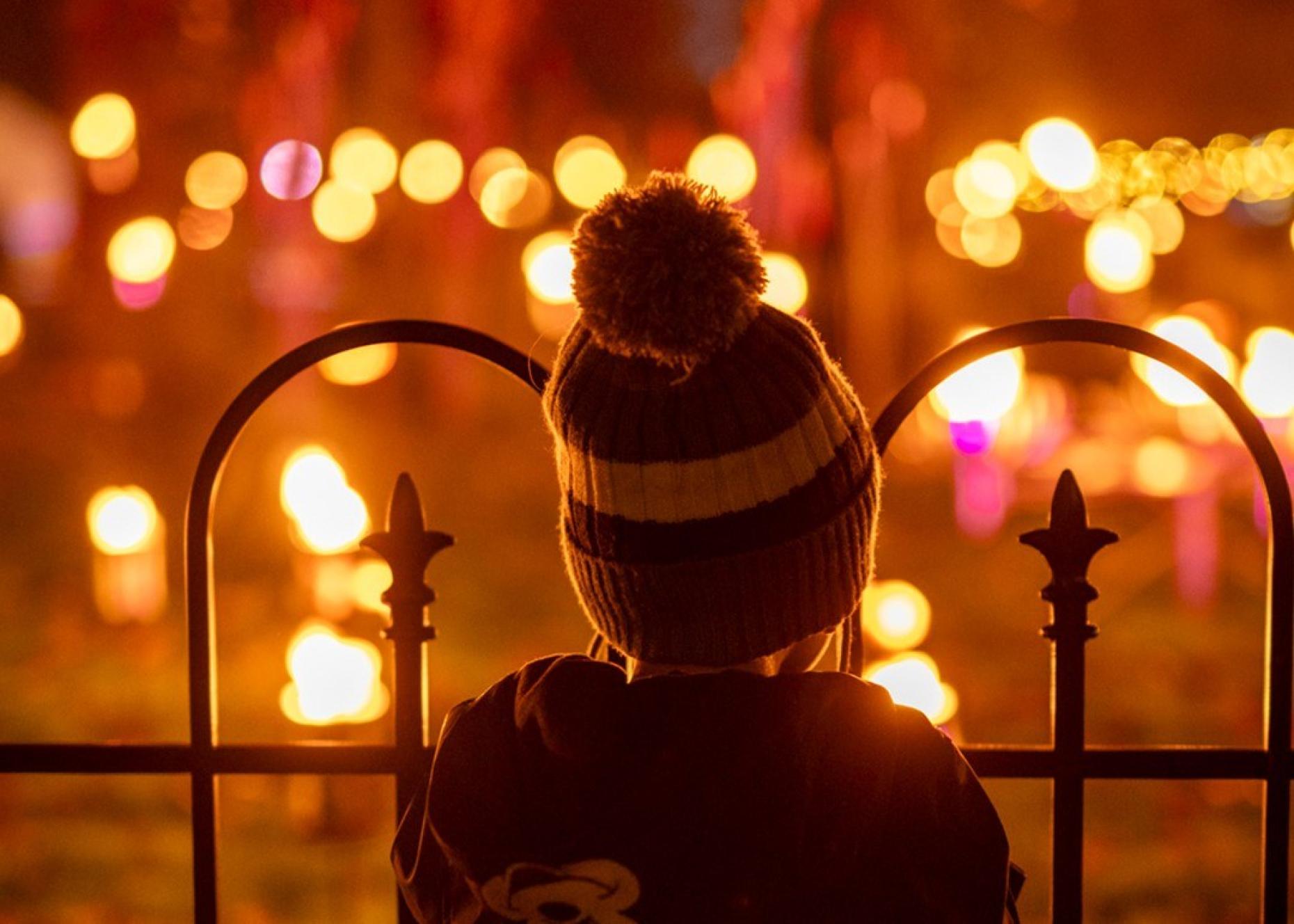 Lanterns And Light Fire Garden Square Chester Zoo 888571