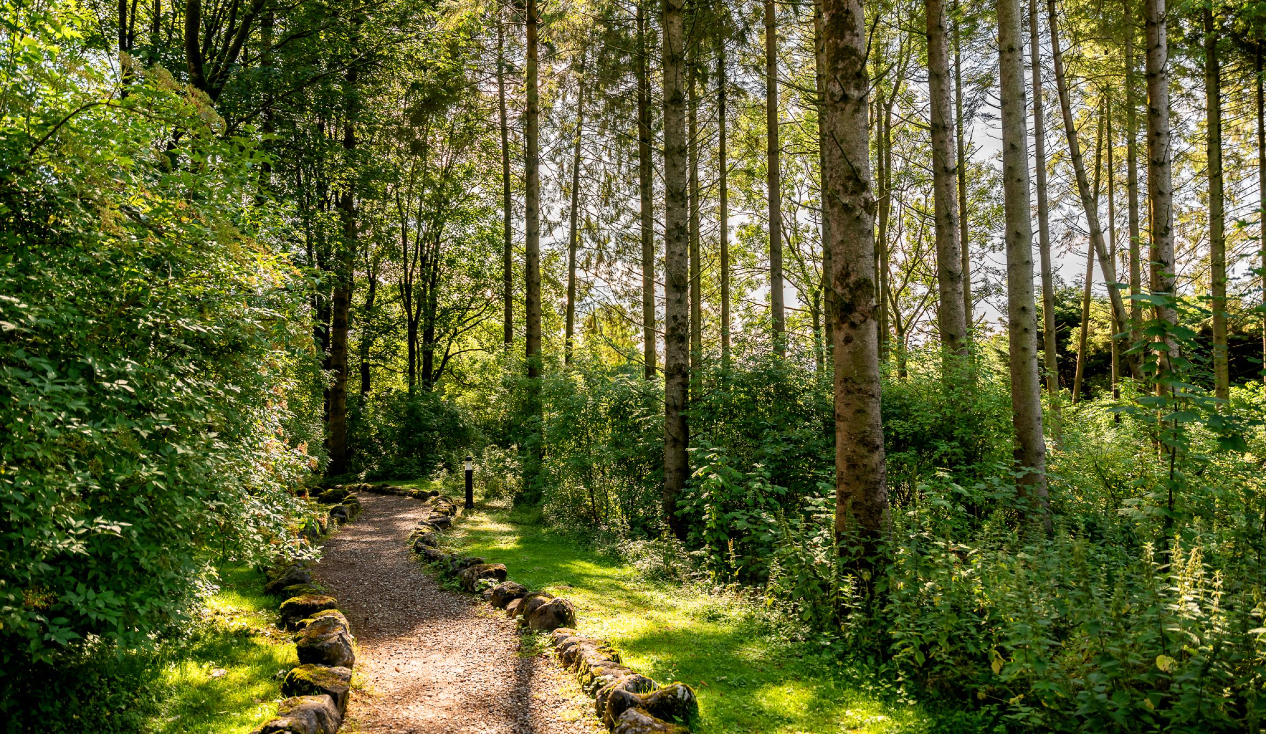 Ll Gi Grounds 05206