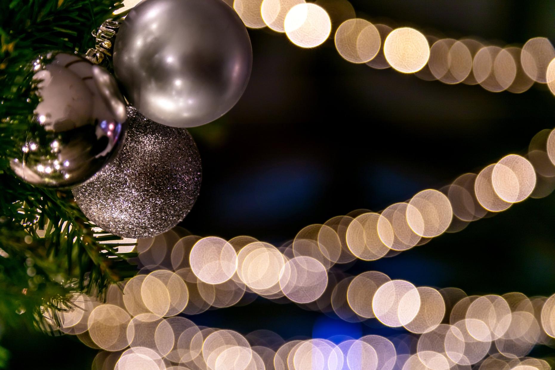 Long Ashes Xmas 9456 1063131