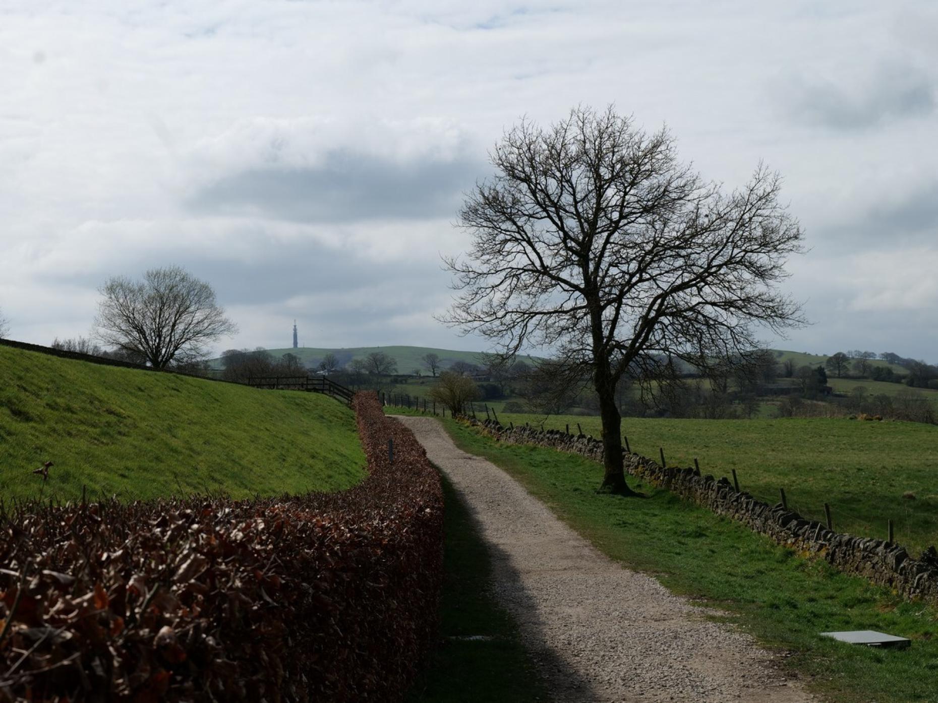Macclesfield Country Road 479782