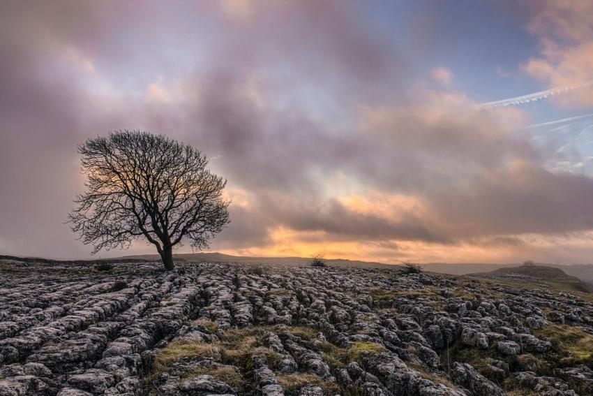 Malhamcove 1004692
