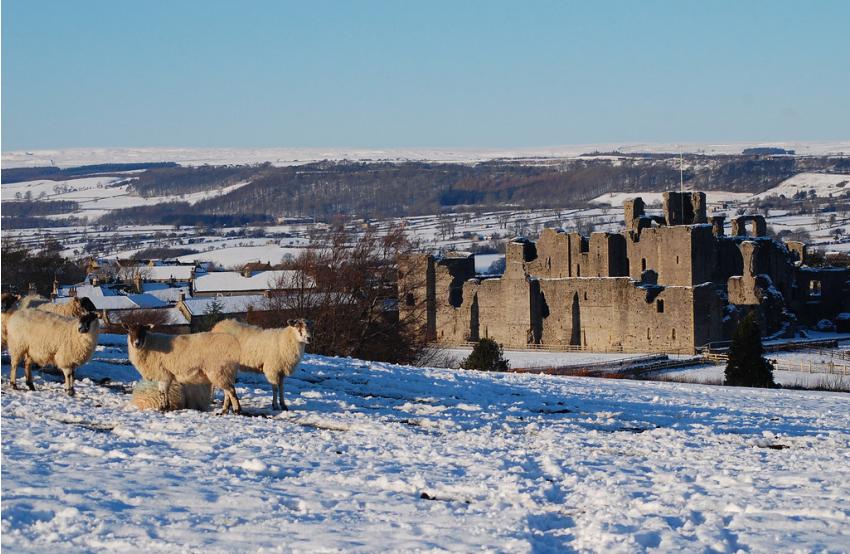 Middleham Castle Snow 637520
