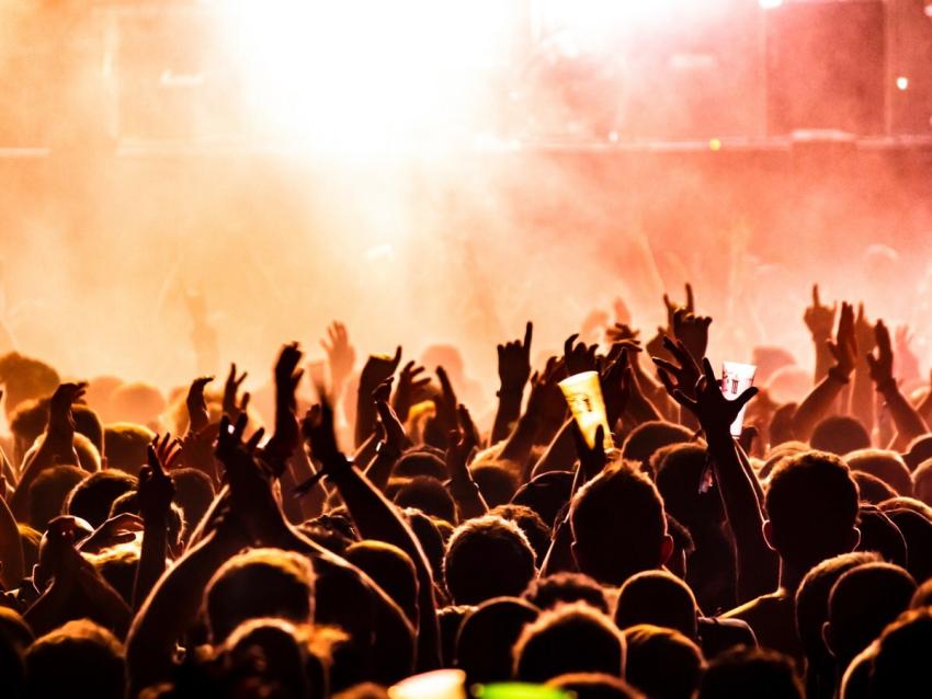 Music Festival Concert Gig 516931