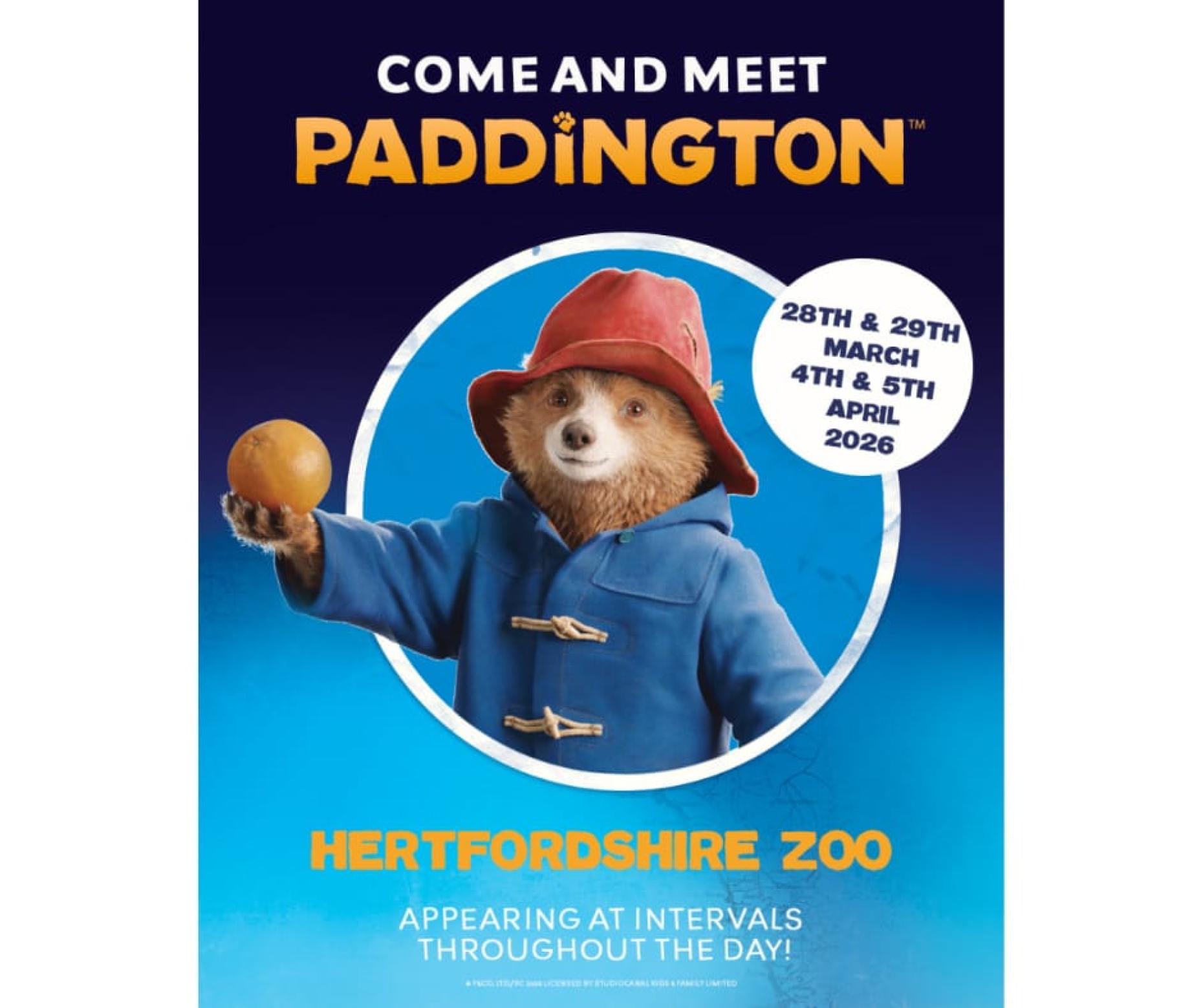 Paddington Easter Hertfordshire Zoo 1090338