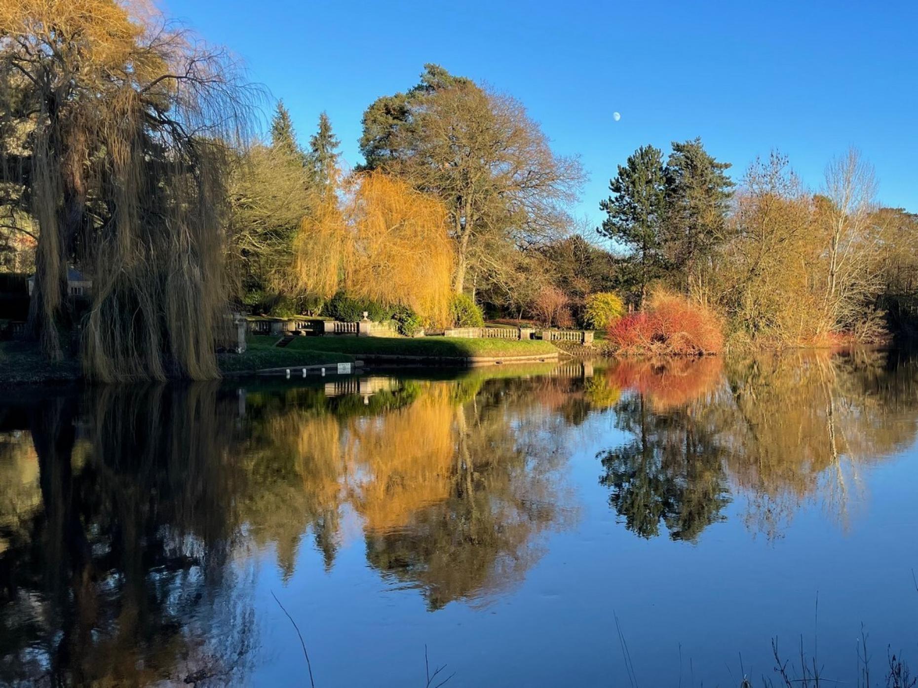 River Ure Ripon 441639