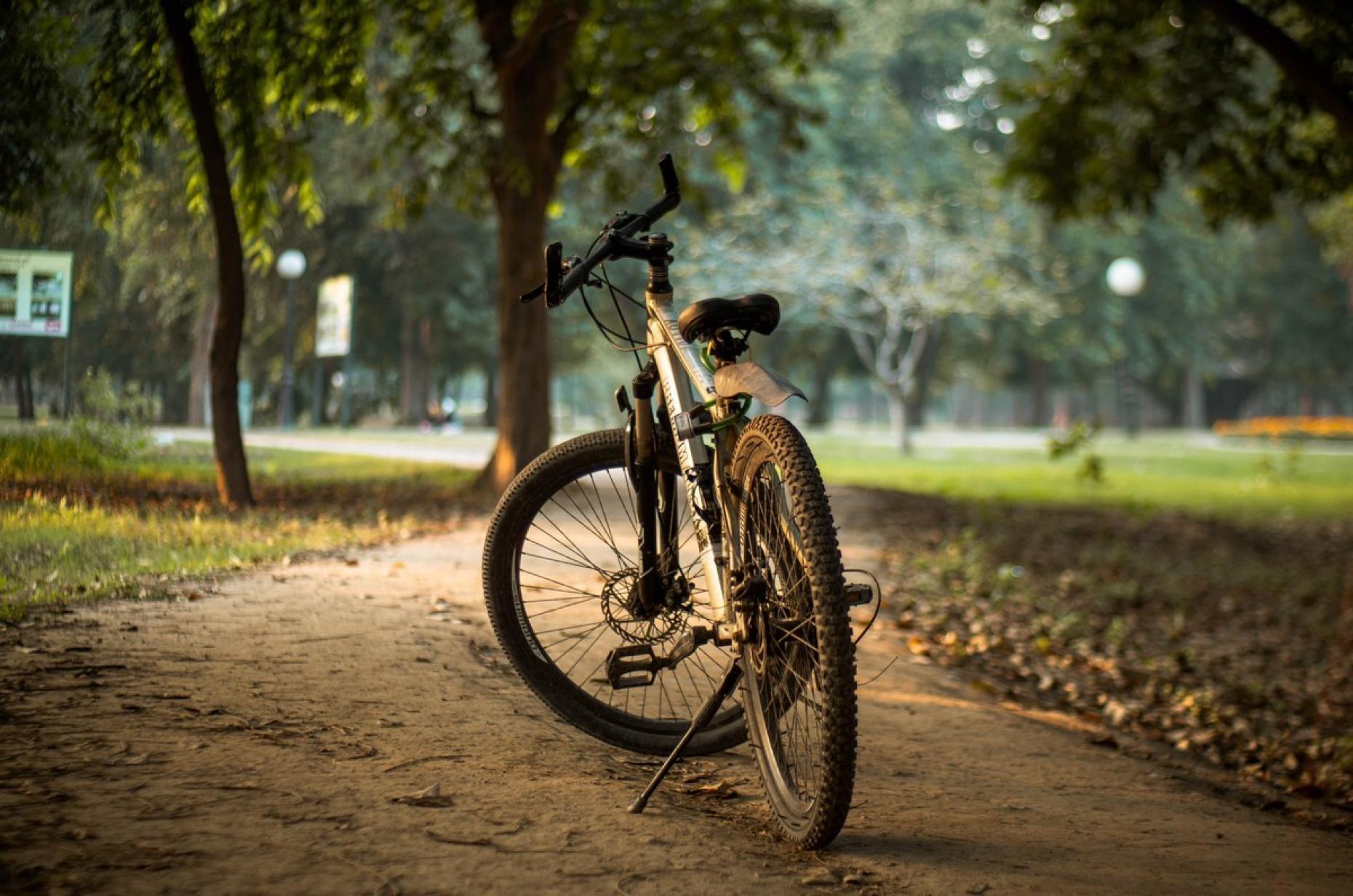 Shazaf Zafar Dv7o2sqothi Unsplash 564143
