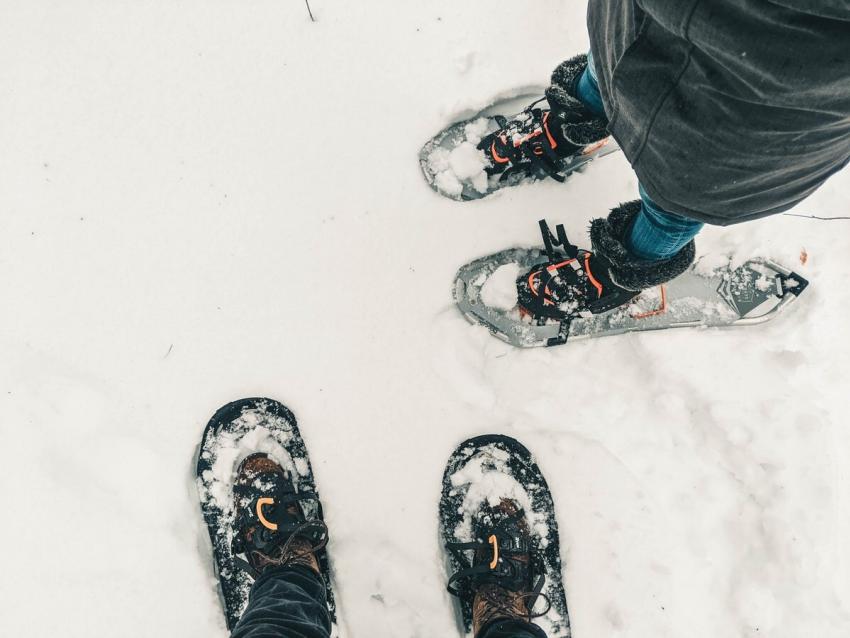 Snowshoes 637531