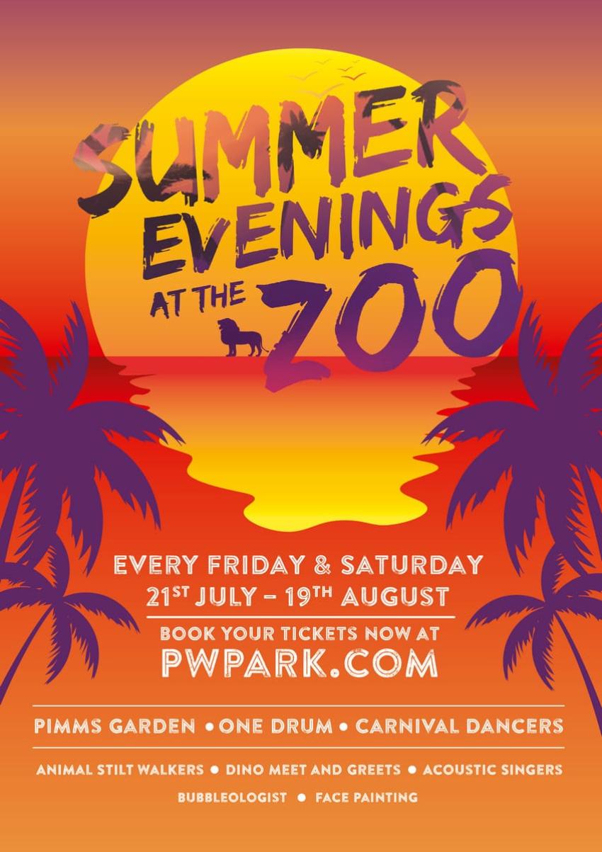 Summer Evening Verticle Ad 559321