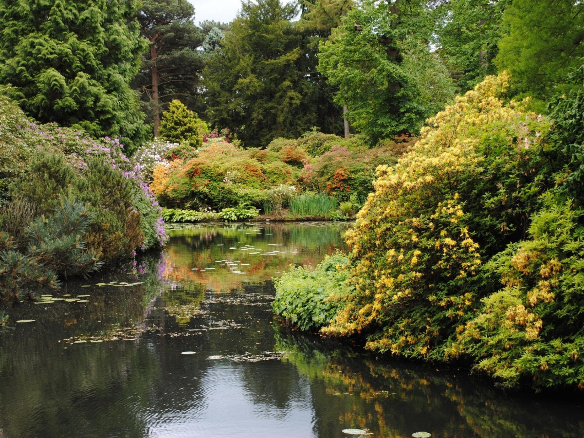 Tatton Park Knutsford 479780