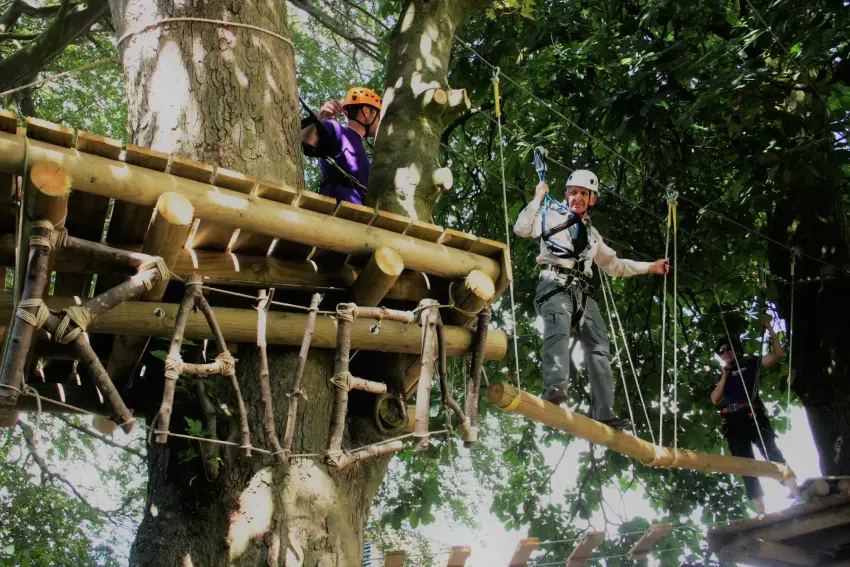 Tree Top Adventure 515363
