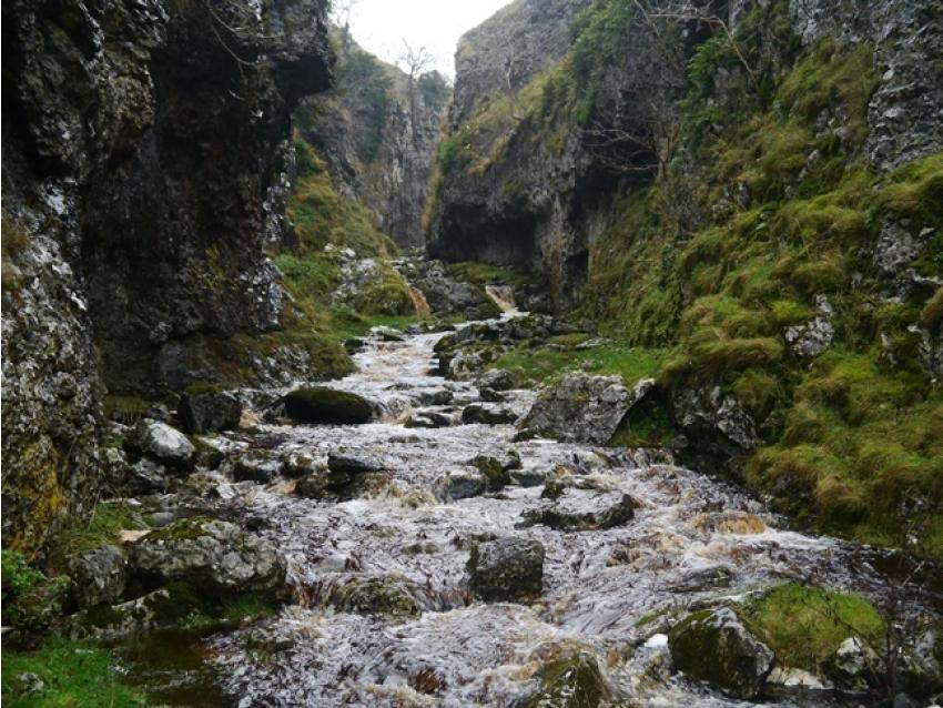 Trollers Gill 384905