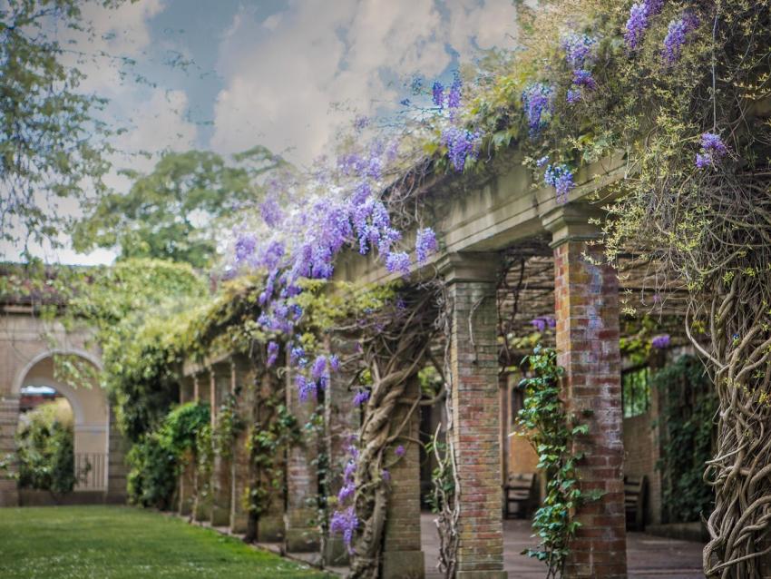 Valley Gardens Harrogate 469756