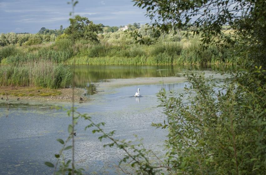 View Of Rspb Rye Meads By Eleanor Bentall 2800 Rspb 2d00 Images Com 2900 948005