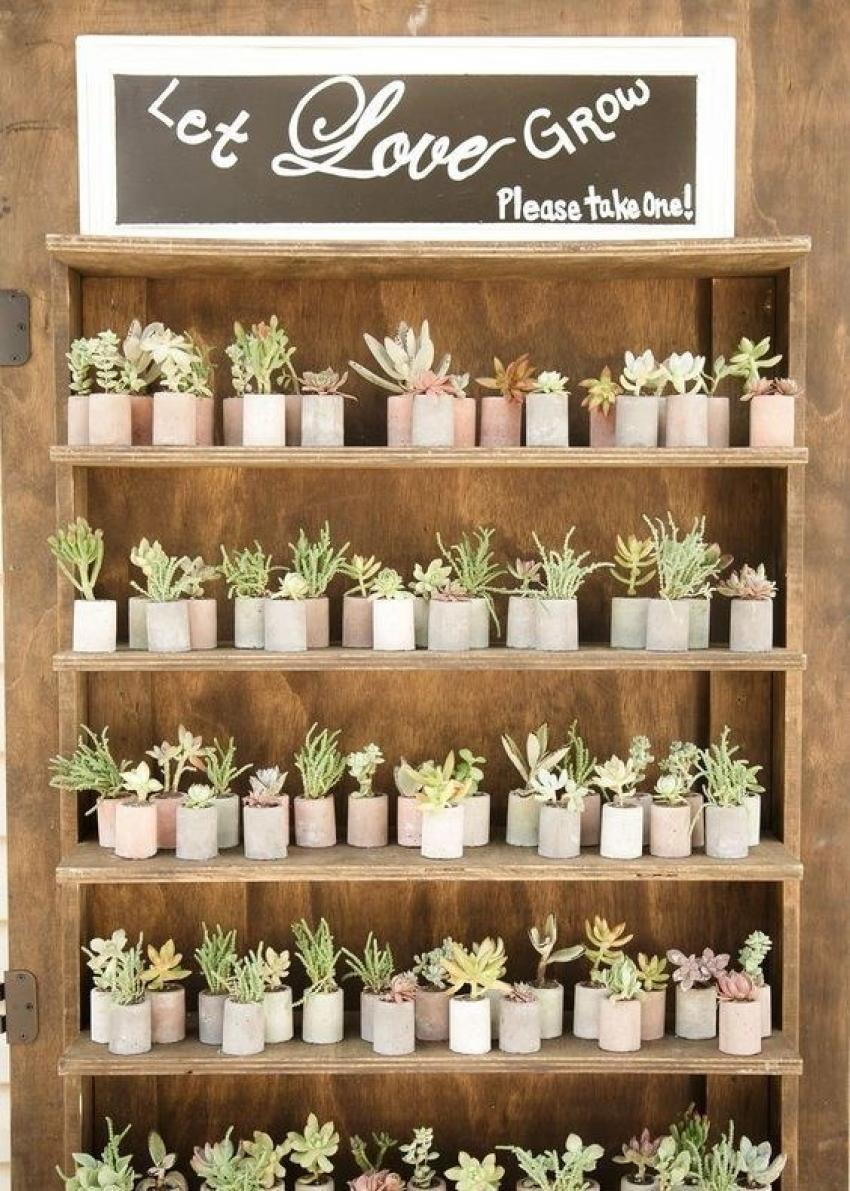 Wedding Favours Plants 864829