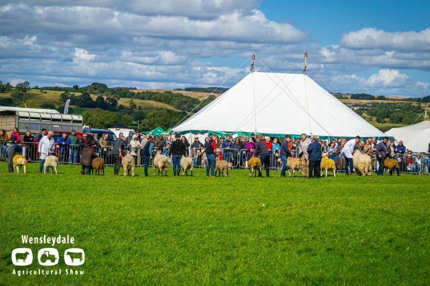 Wensleydale Agricultural Show 1023347