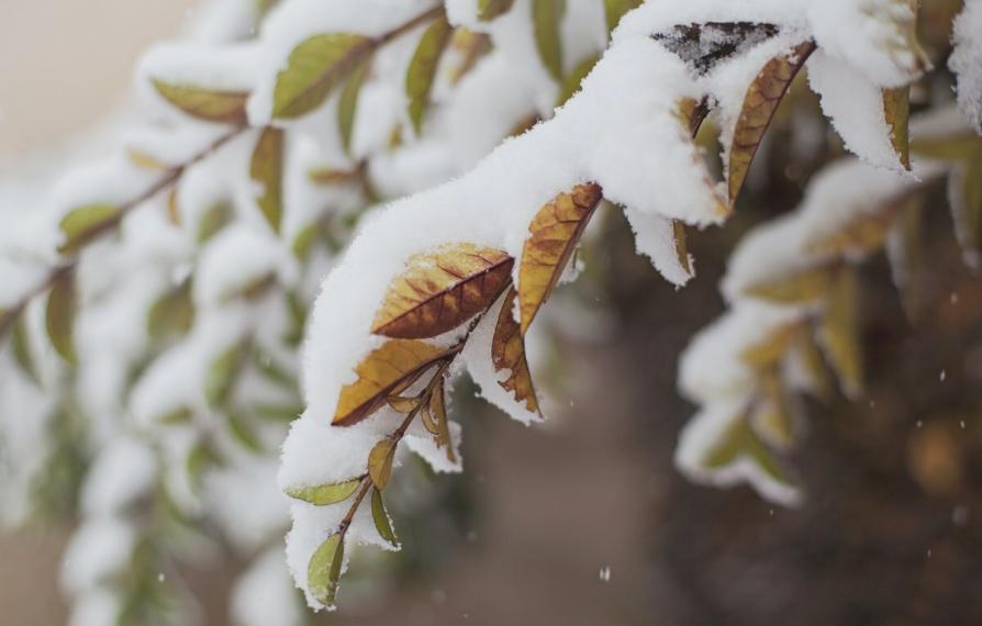 Winter Nature 616874