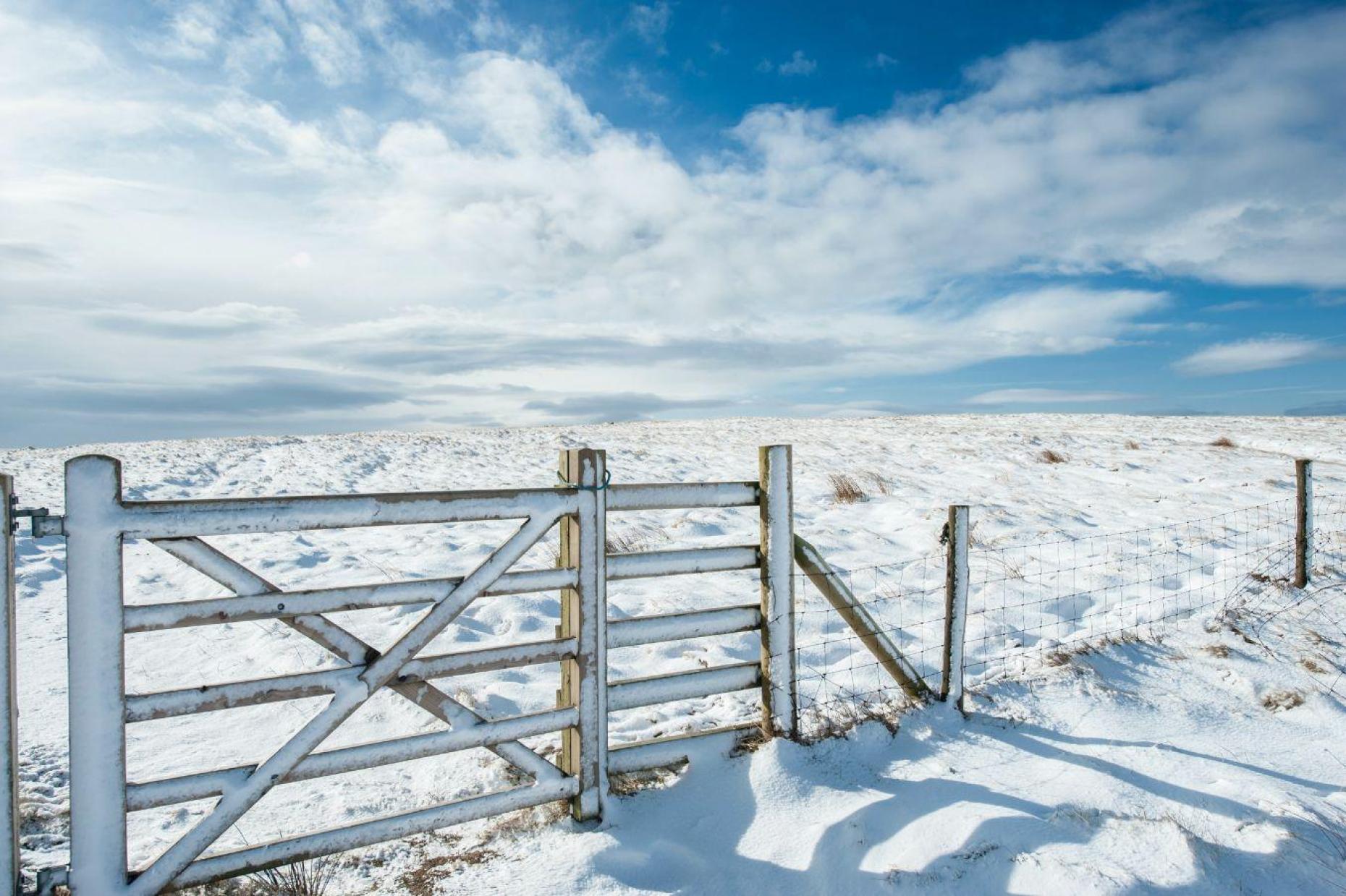 Yorkshire Snow 1 99724
