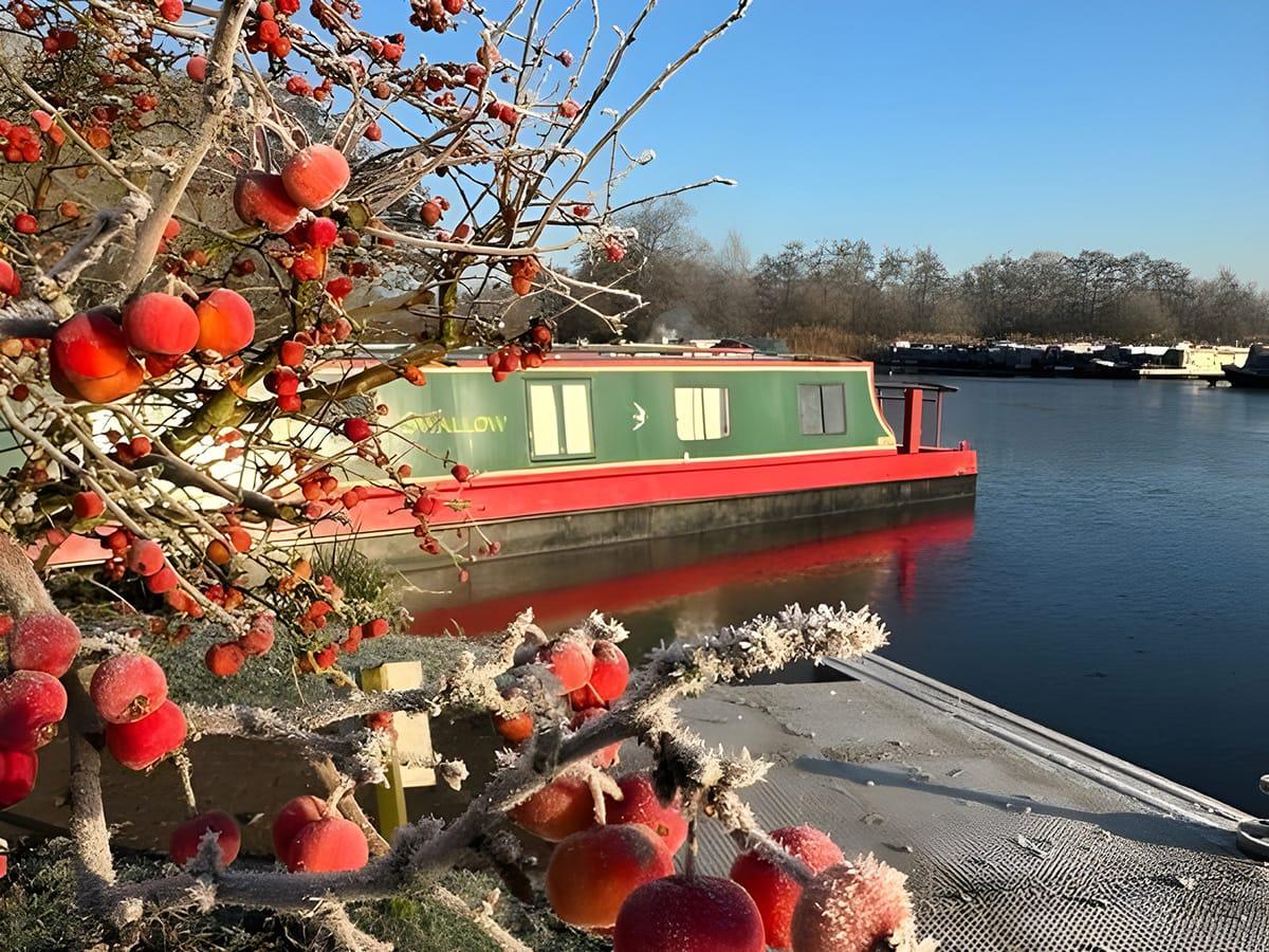 Barton Mooring 5