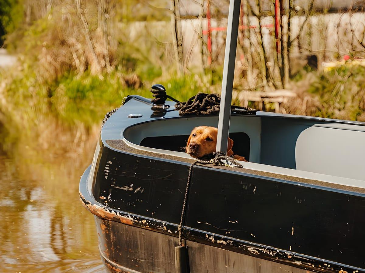 Boat Hire 12