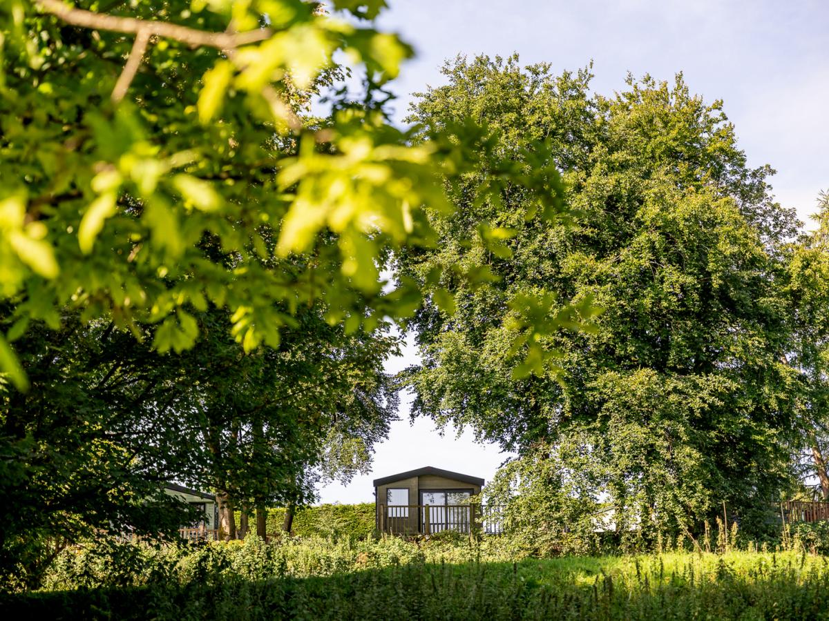 Ll Gi Grounds 05182