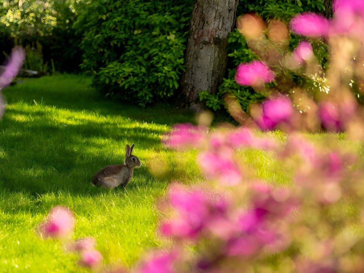 Longashes Park 6