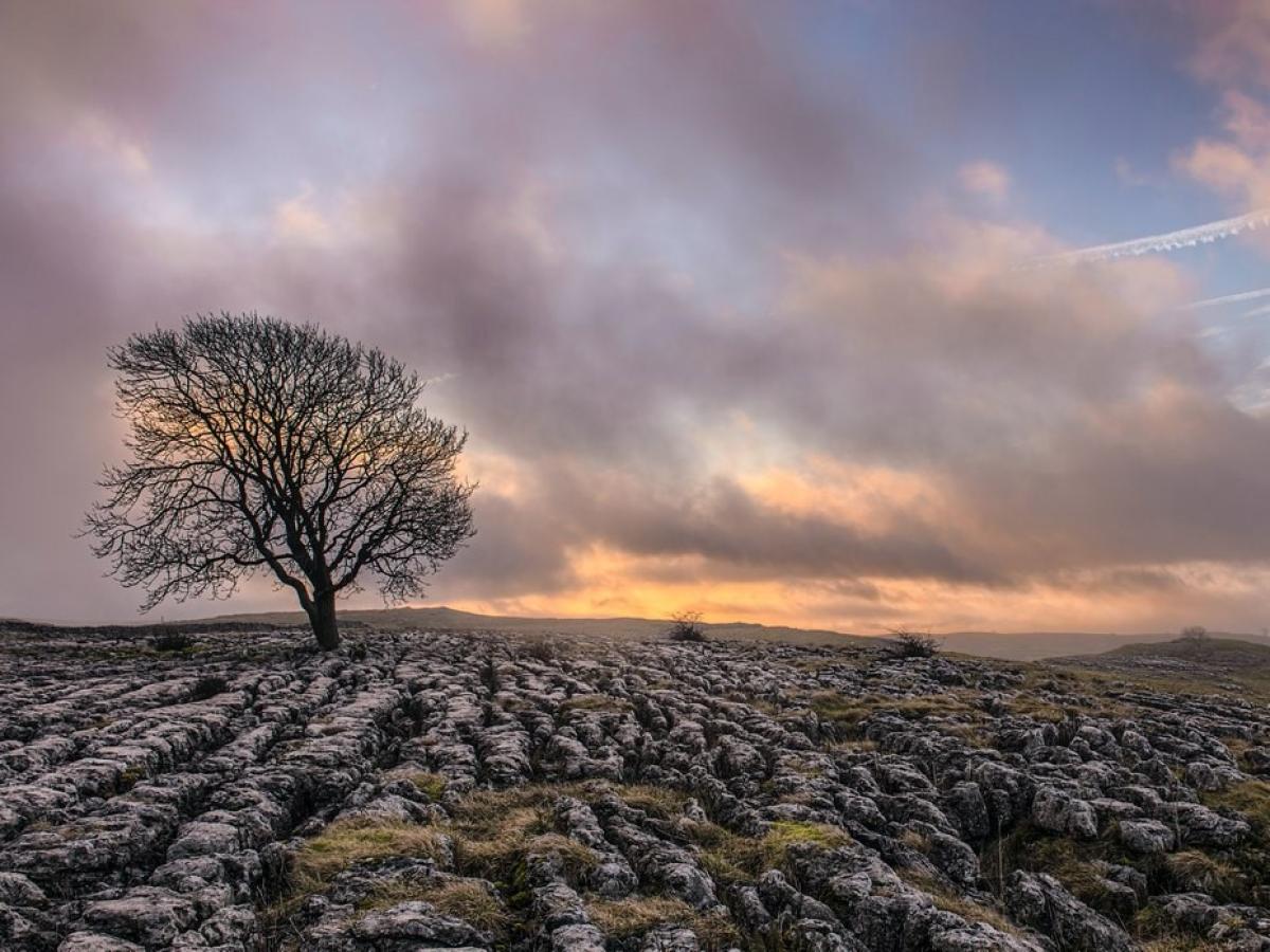 Malhamcove