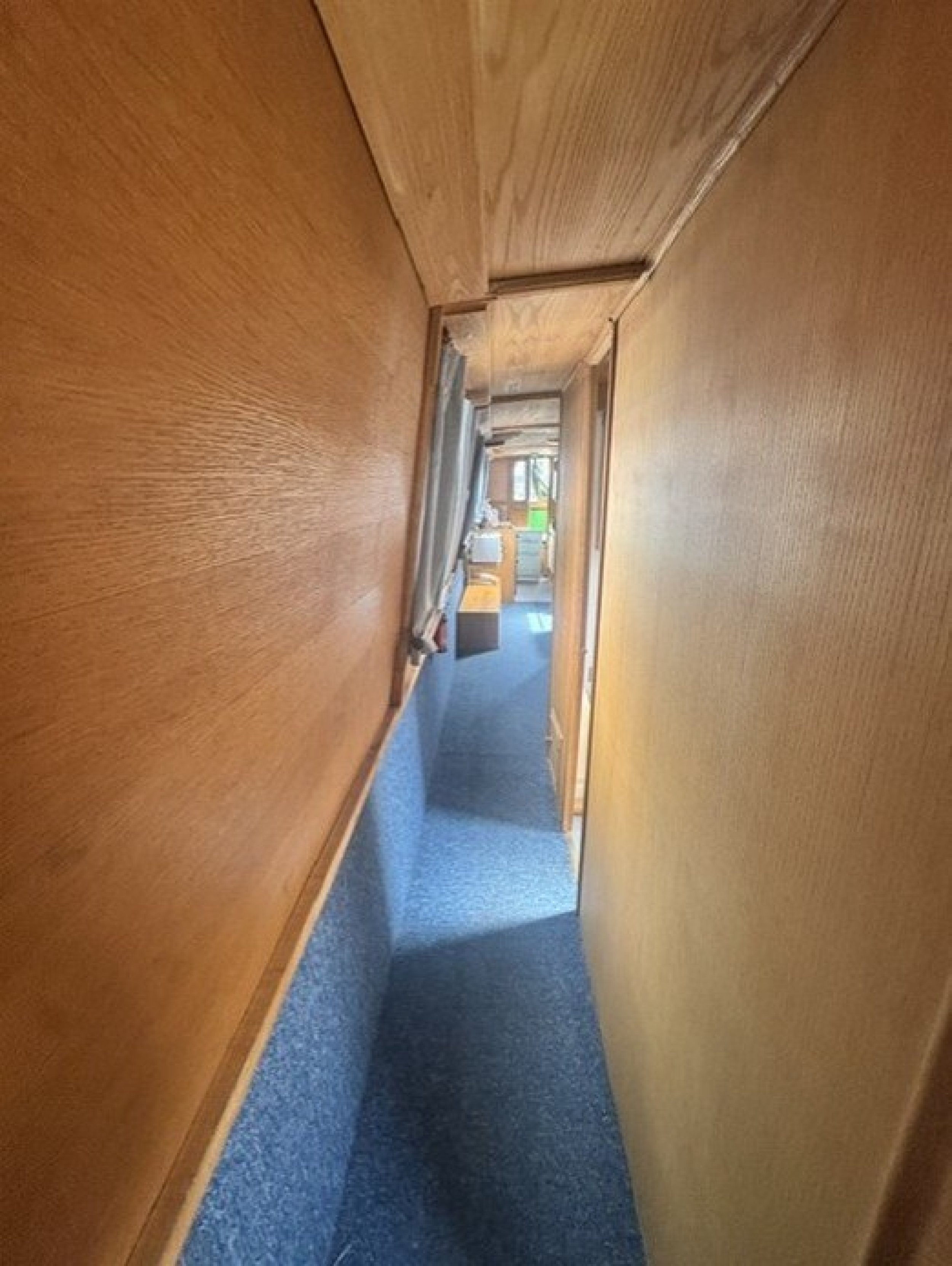 Apples